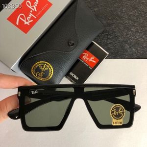 Ray-Ban Sunglasses 733